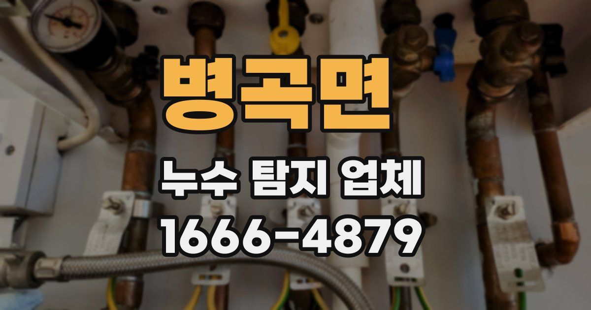 병곡면 누수 탐지 업체