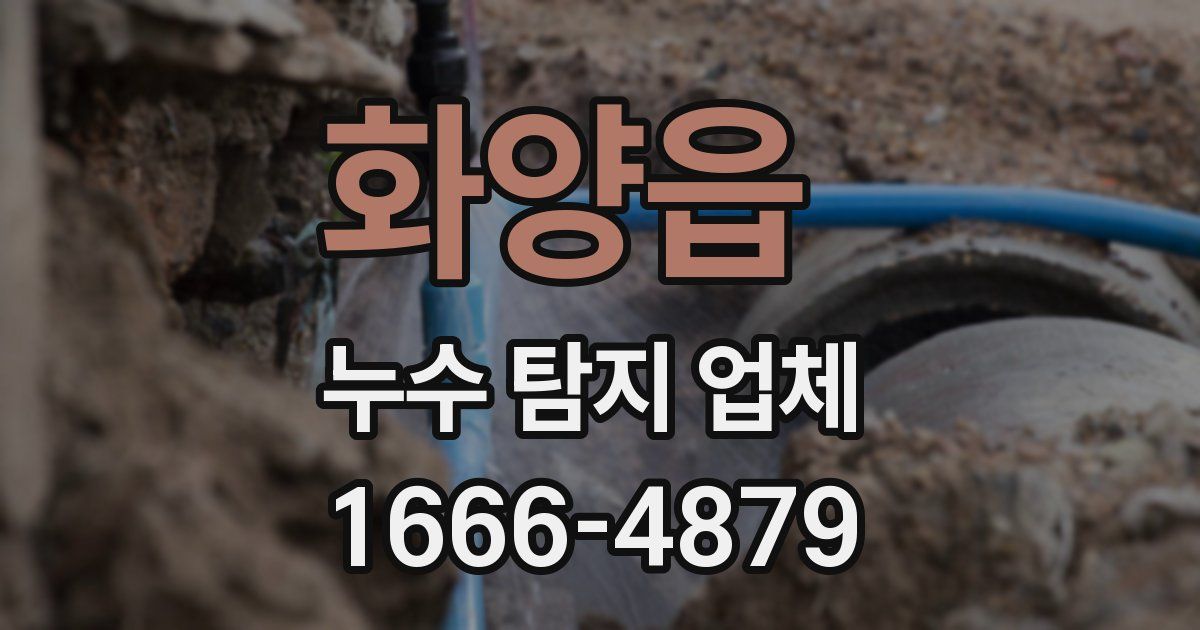 화양읍 누수 탐지 업체