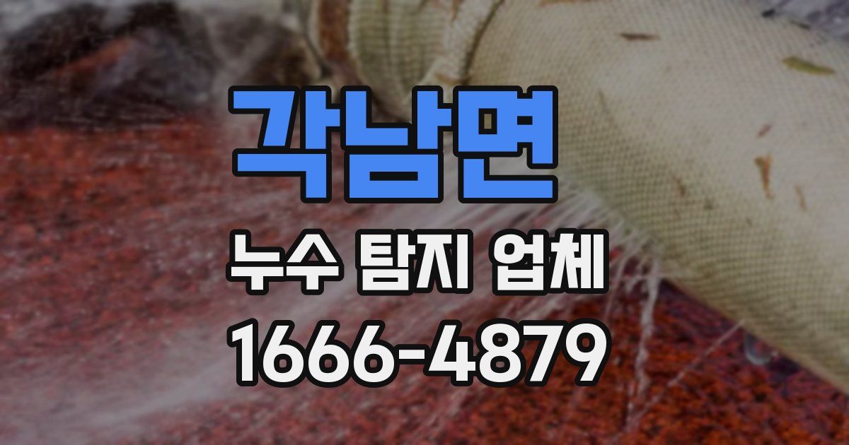 각남면 누수 탐지 업체