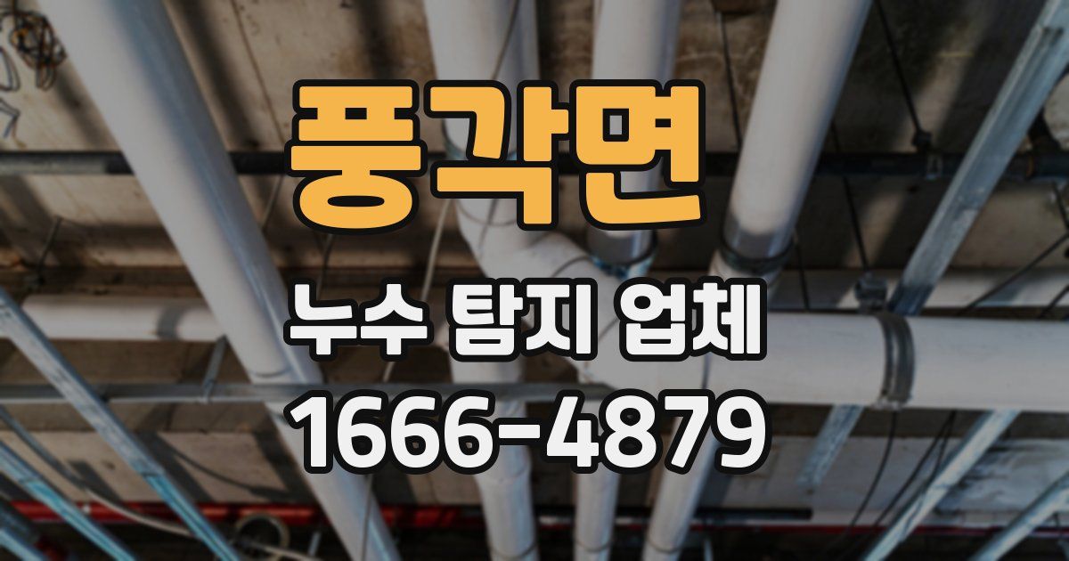 풍각면 누수 탐지 업체