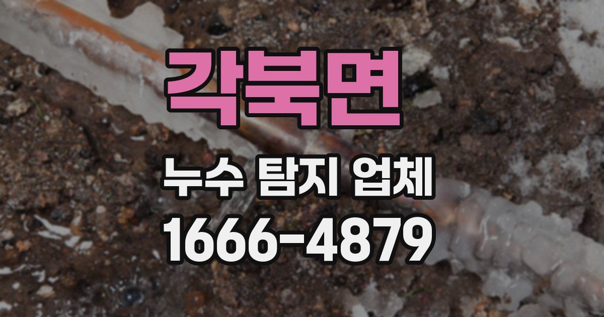 각북면 누수 탐지 업체