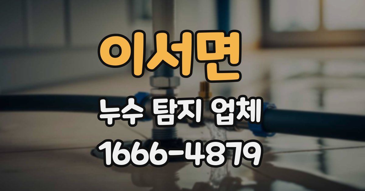 이서면 누수 탐지 업체