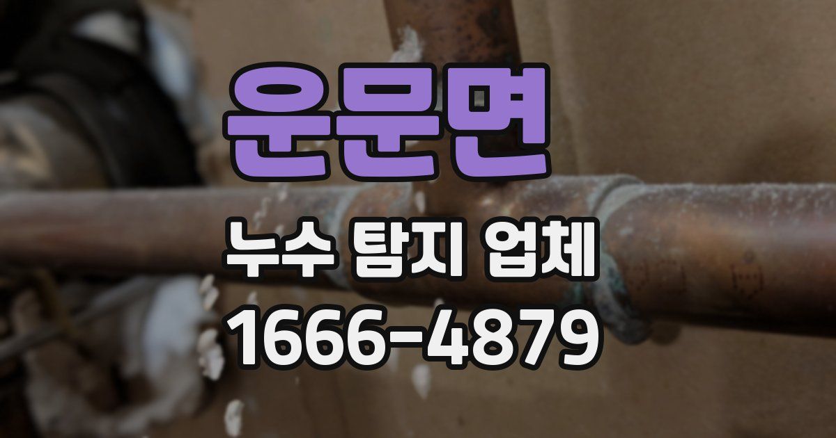 운문면 누수 탐지 업체