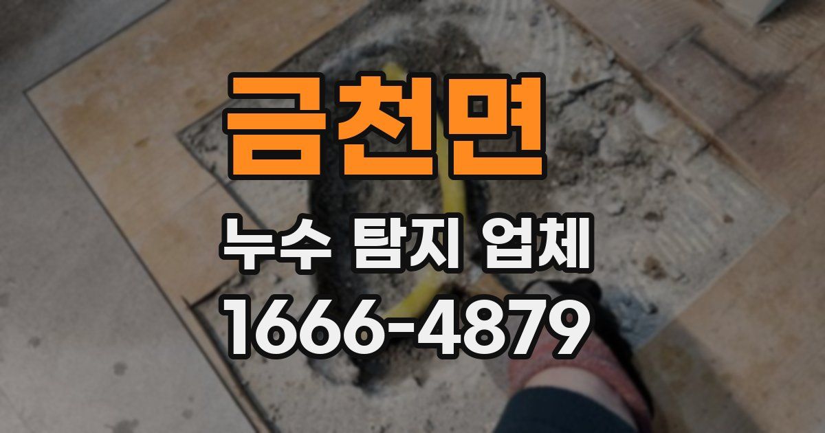 금천면 누수 탐지 업체