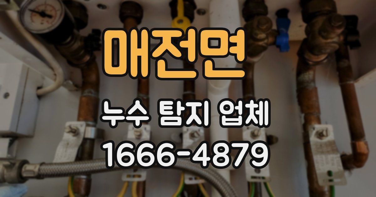 매전면 누수 탐지 업체