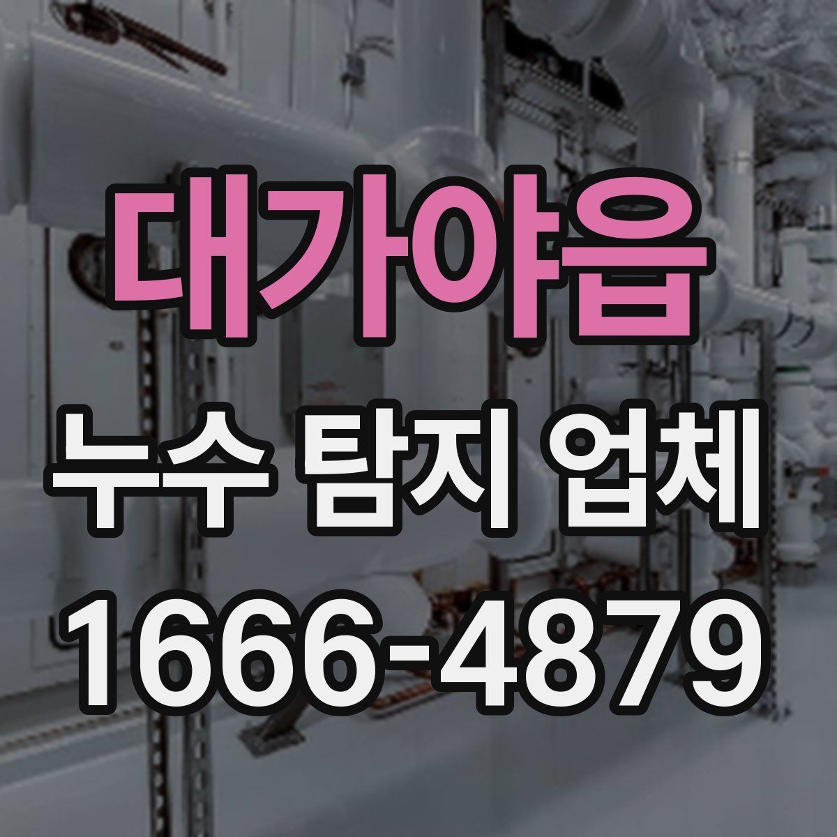 대가야읍 누수 탐지 업체