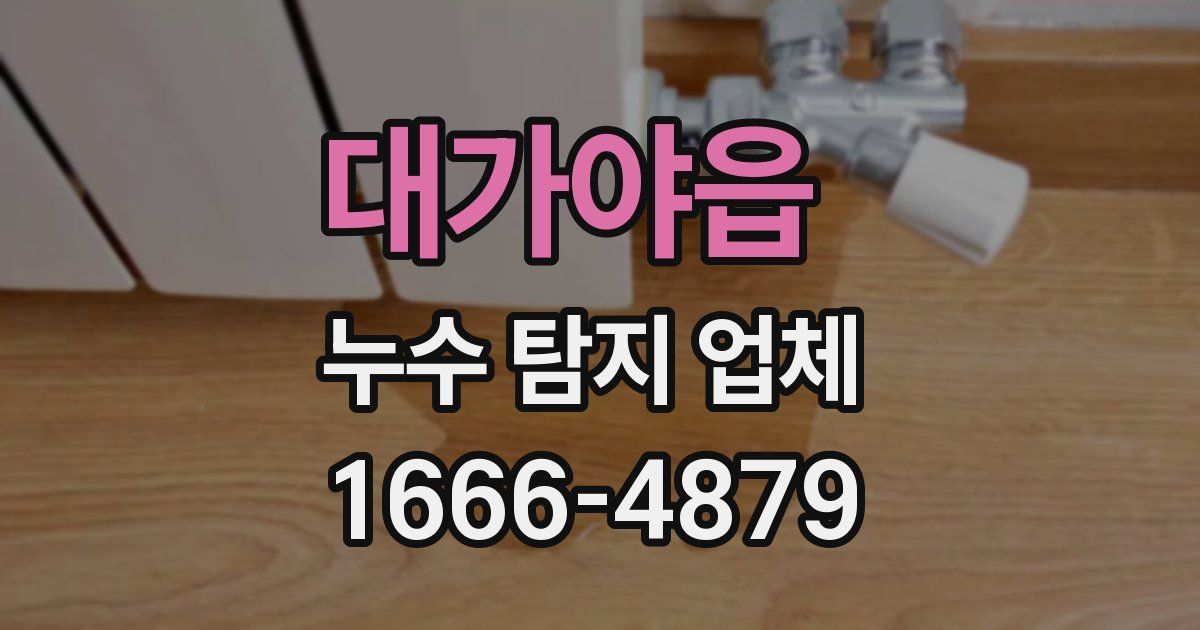 대가야읍 누수 탐지 업체