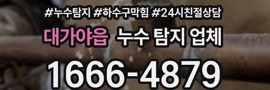 대가야읍 누수 탐지 업체