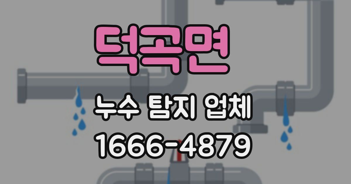 덕곡면 누수 탐지 업체