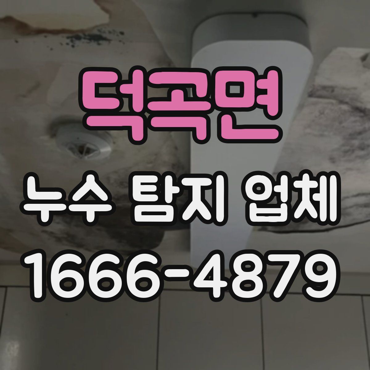 덕곡면 누수 탐지 업체