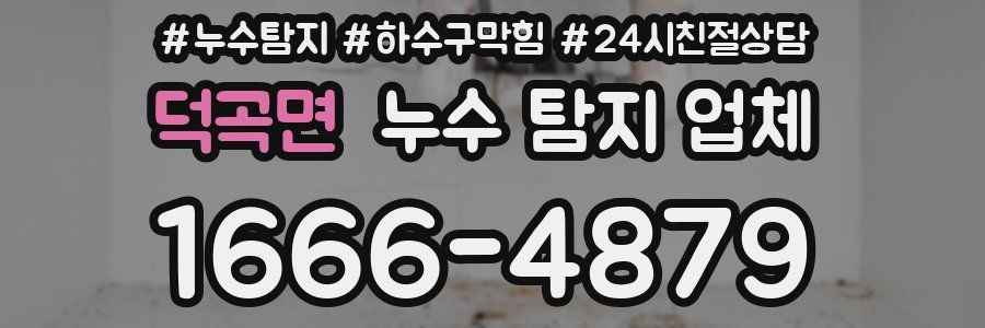 덕곡면 누수 탐지 업체