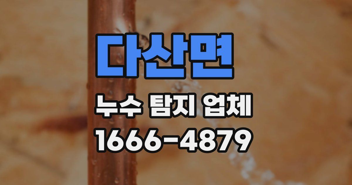 다산면 누수 탐지 업체