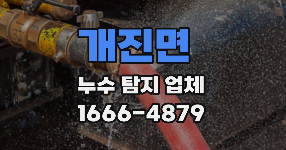 개진면 누수 탐지 업체