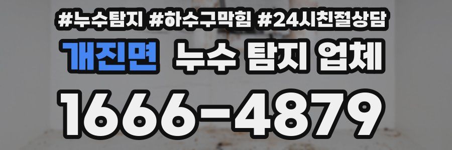 개진면 누수 탐지 업체