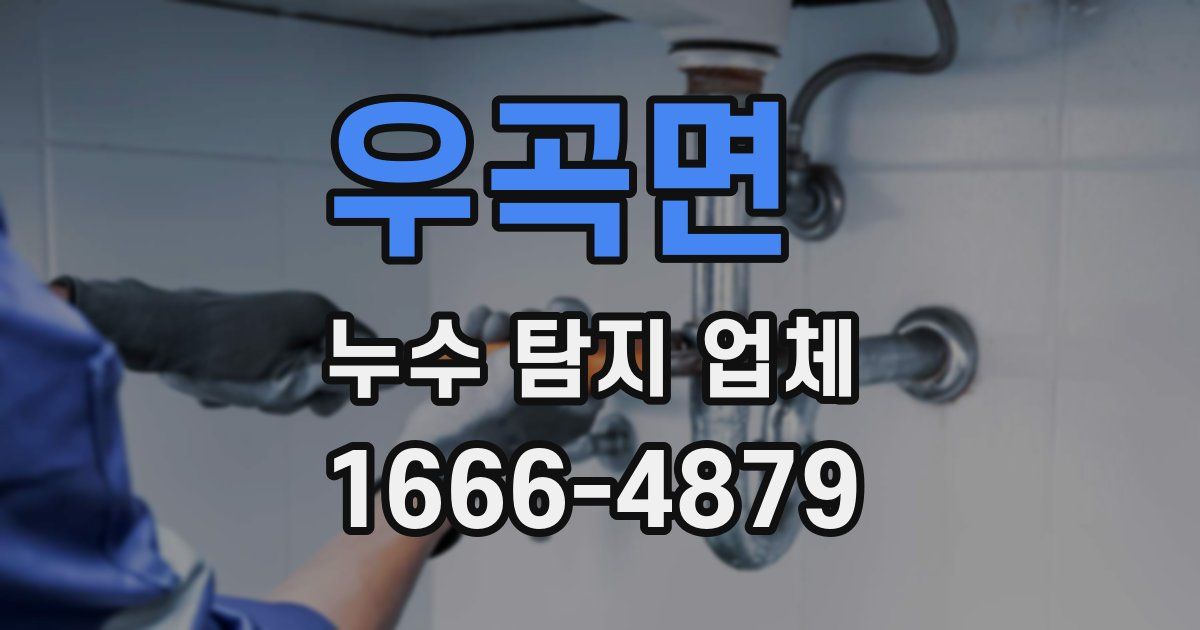 우곡면 누수 탐지 업체