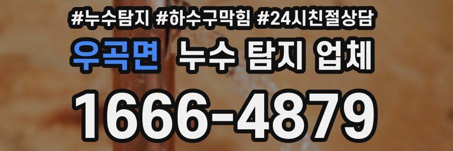 우곡면 누수 탐지 업체