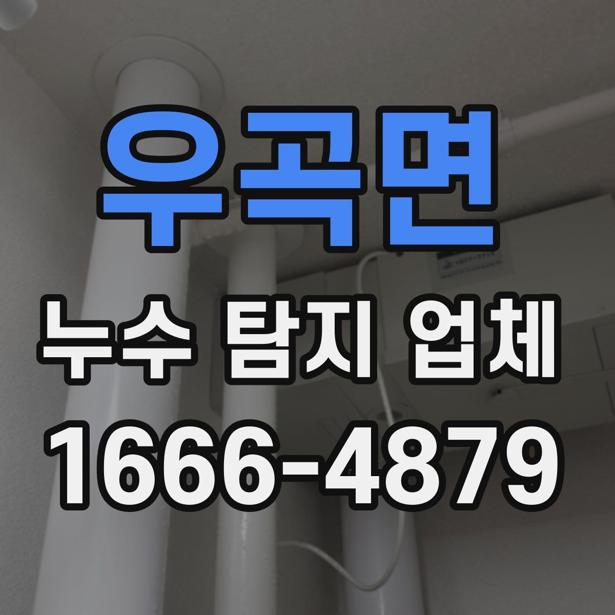 우곡면 누수 탐지 업체