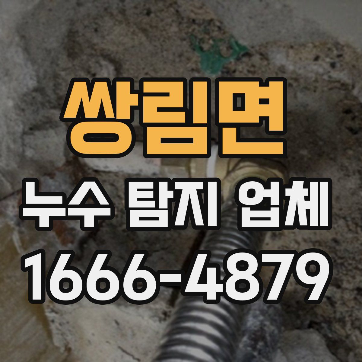 쌍림면 누수 탐지 업체