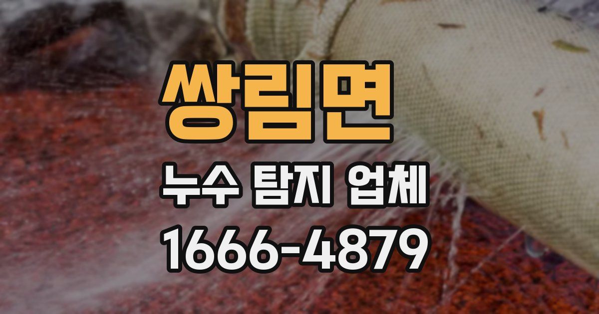 쌍림면 누수 탐지 업체