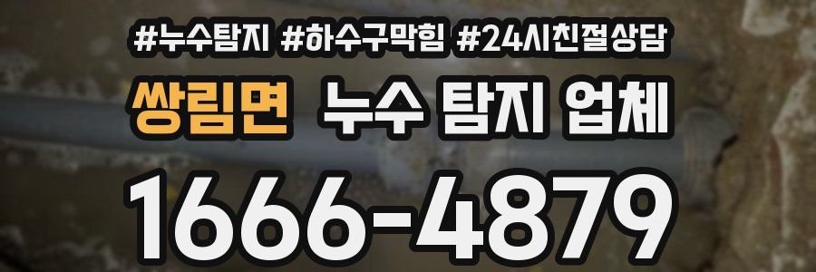 쌍림면 누수 탐지 업체