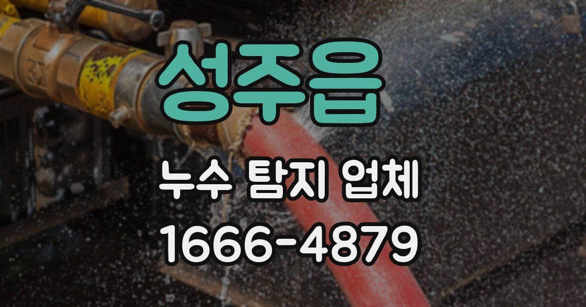 성주읍 누수 탐지 업체