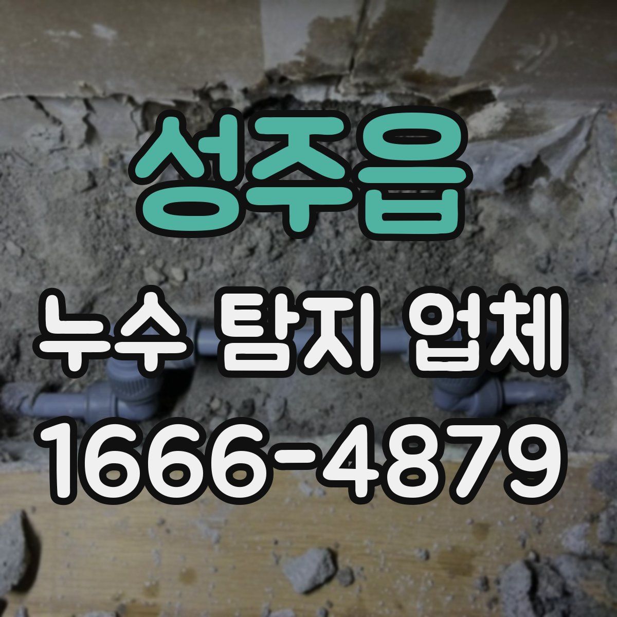 성주읍 누수 탐지 업체