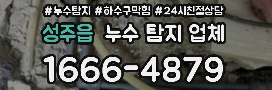 성주읍 누수 탐지 업체