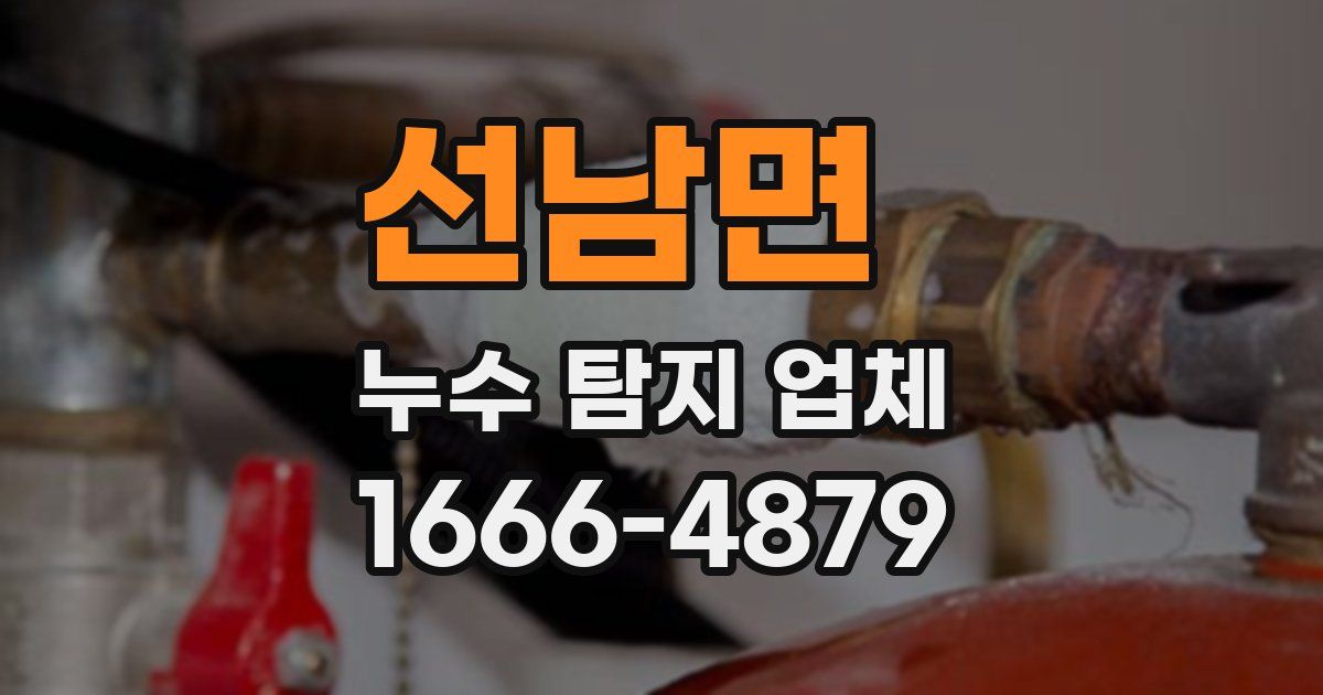 선남면 누수 탐지 업체