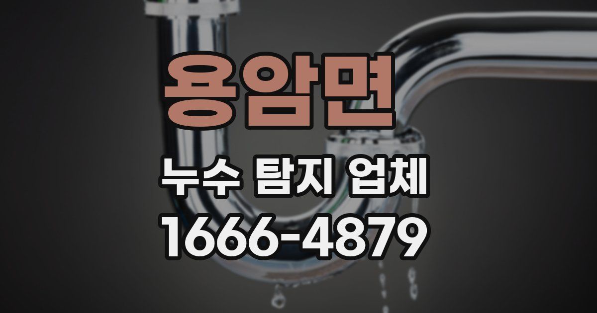 용암면 누수 탐지 업체