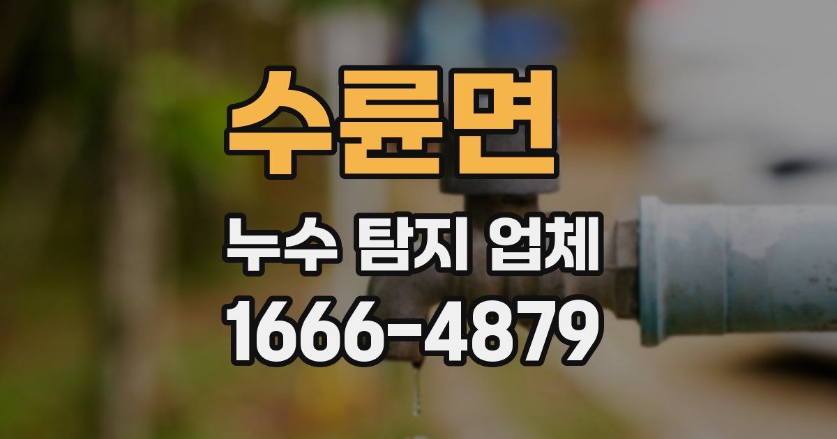 수륜면 누수 탐지 업체
