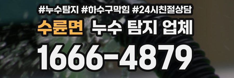 수륜면 누수 탐지 업체