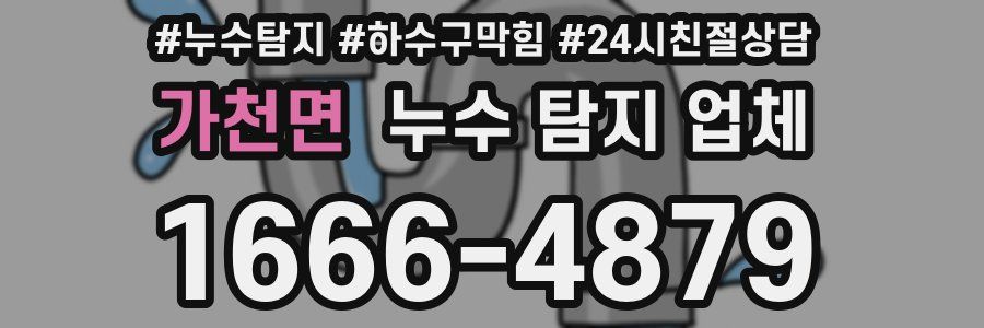 가천면 누수 탐지 업체