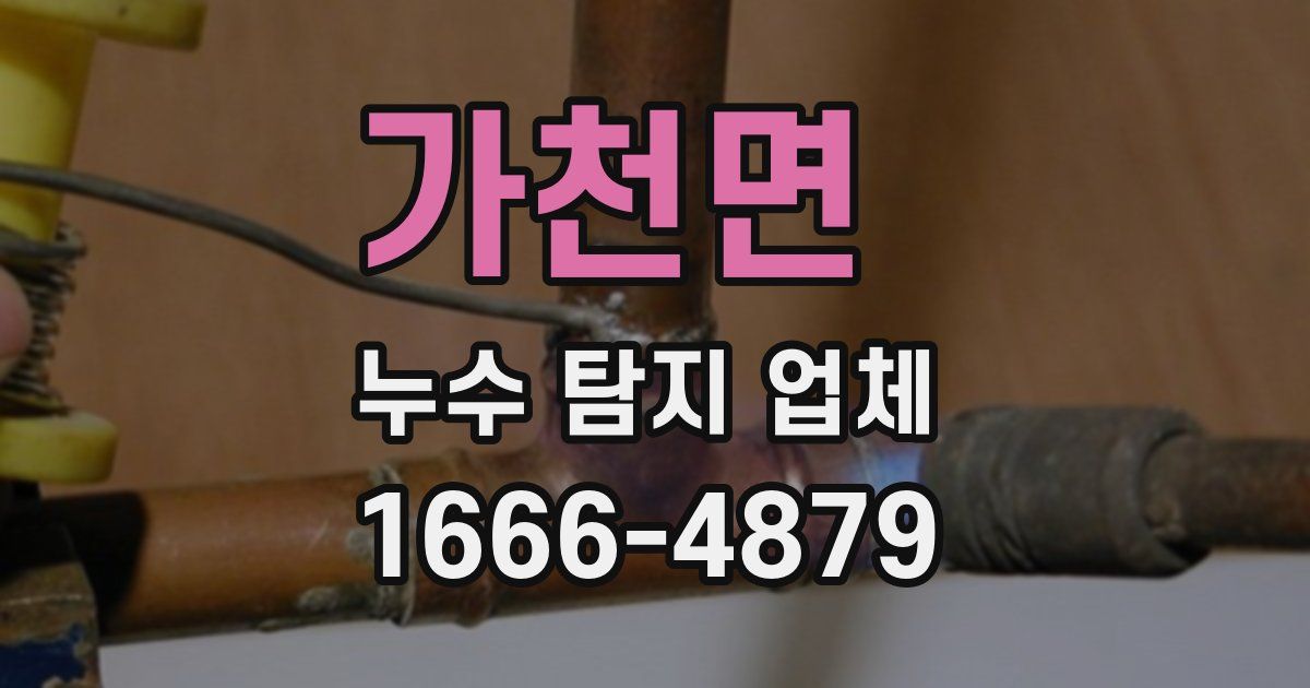 가천면 누수 탐지 업체