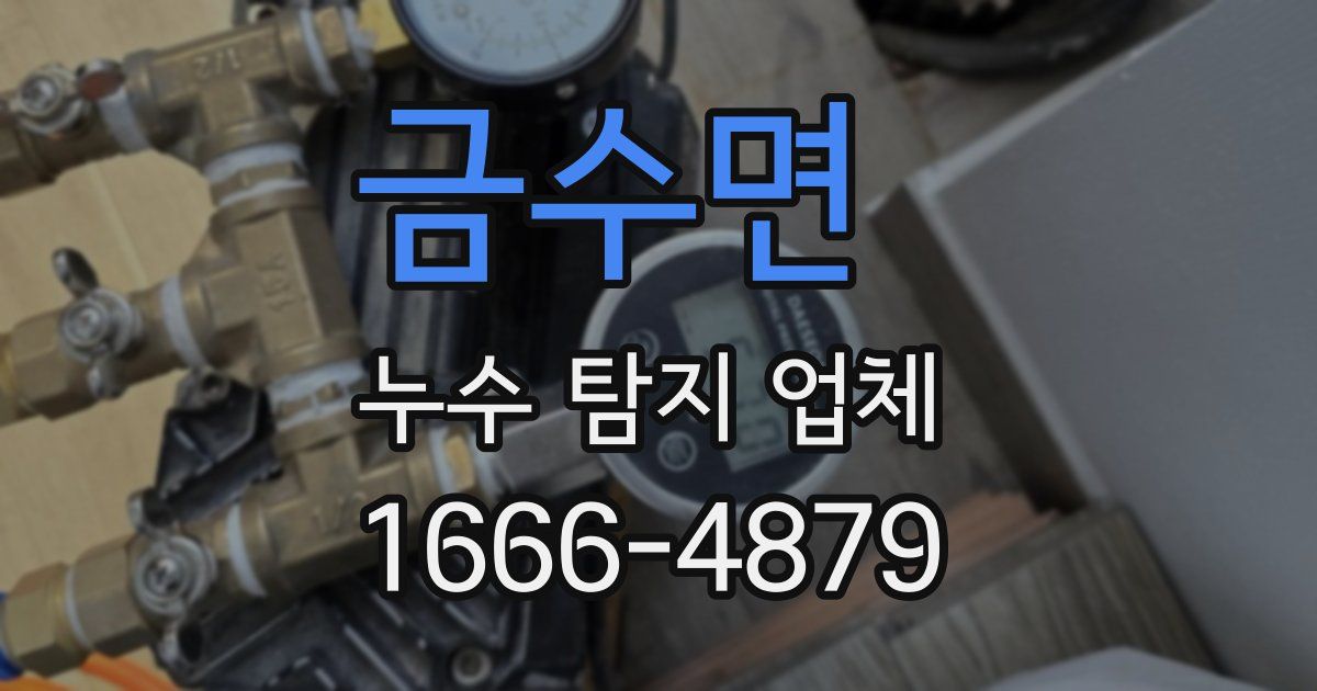 금수면 누수 탐지 업체