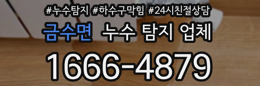 금수면 누수 탐지 업체