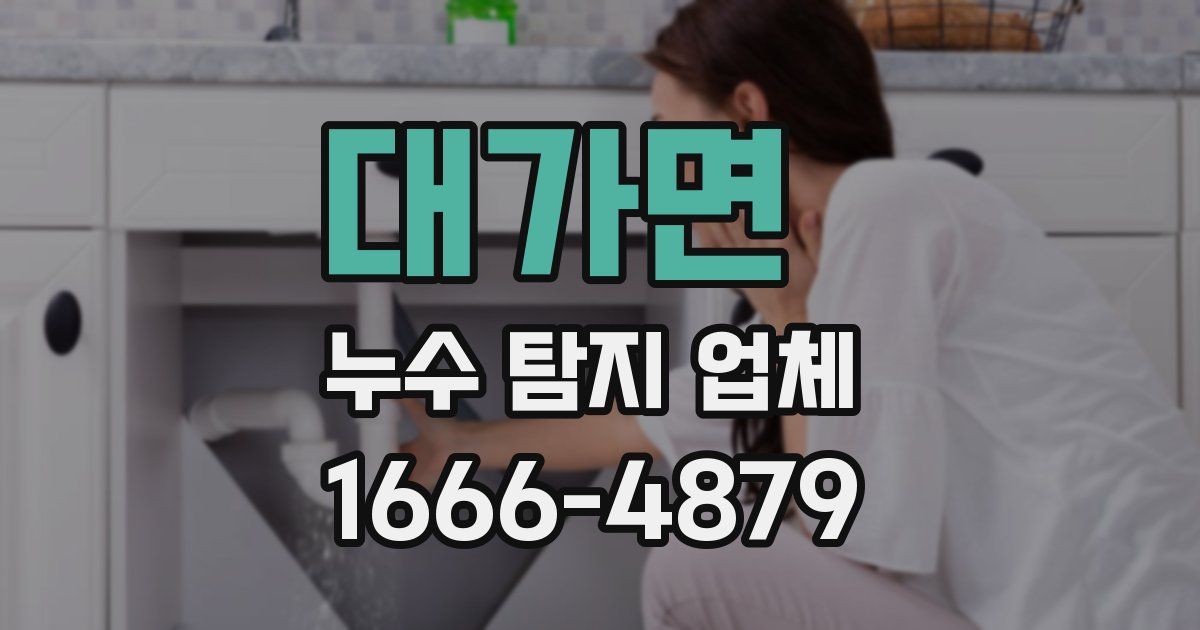 대가면 누수 탐지 업체
