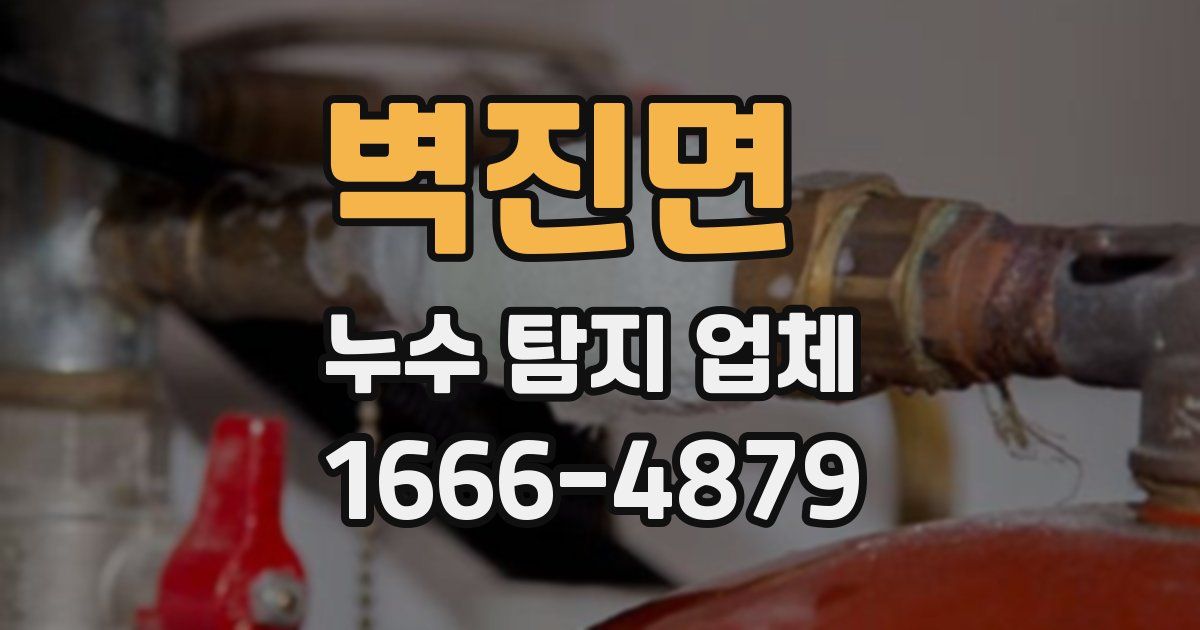 벽진면 누수 탐지 업체
