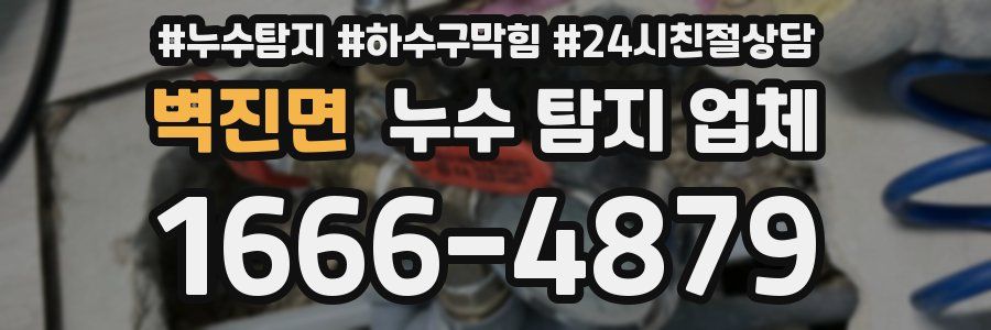 벽진면 누수 탐지 업체