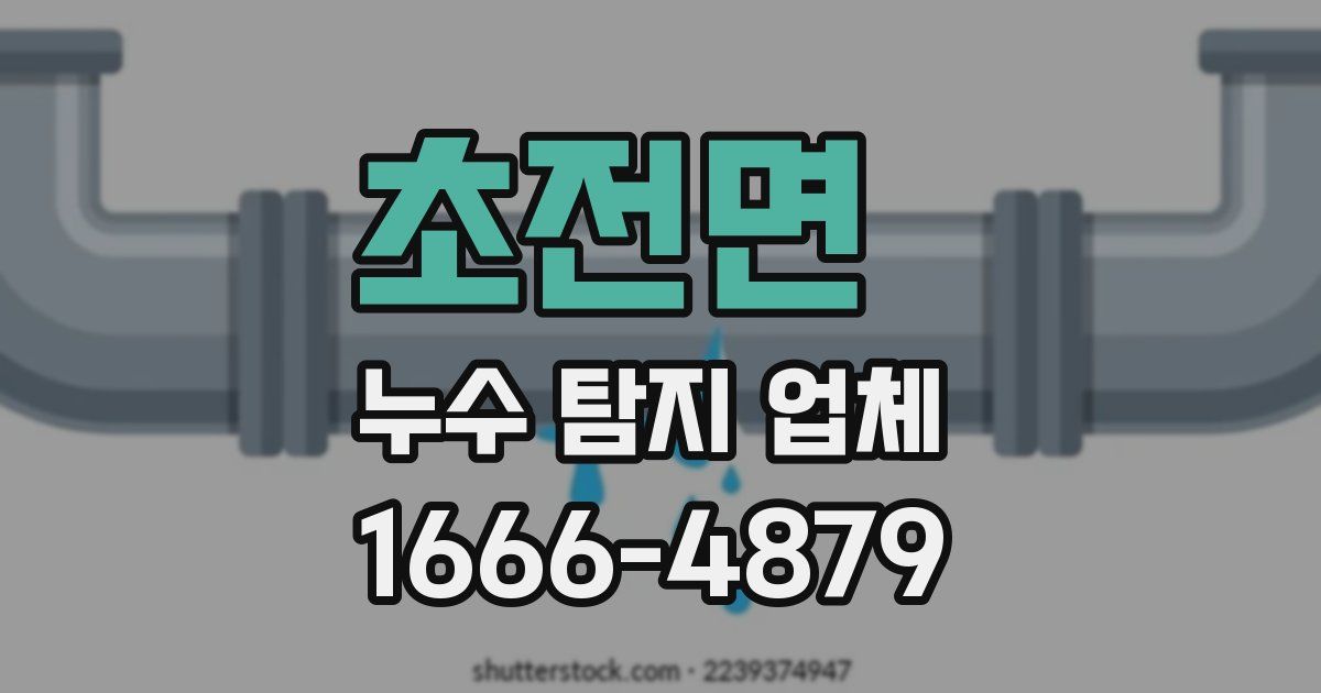 초전면 누수 탐지 업체