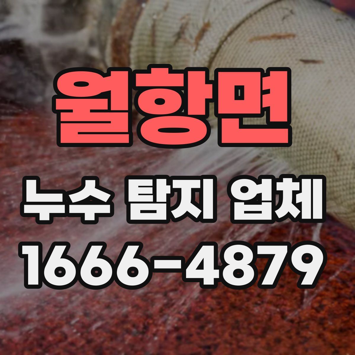 월항면 누수 탐지 업체