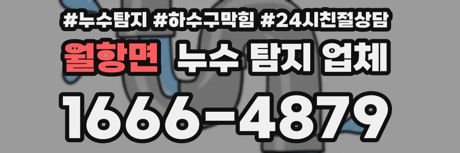 월항면 누수 탐지 업체