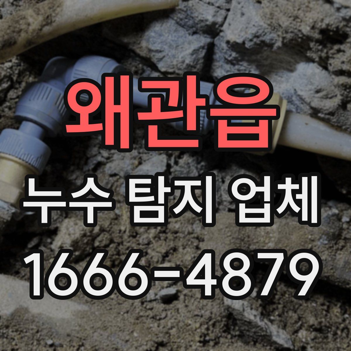 왜관읍 누수 탐지 업체