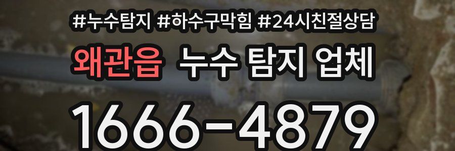 왜관읍 누수 탐지 업체