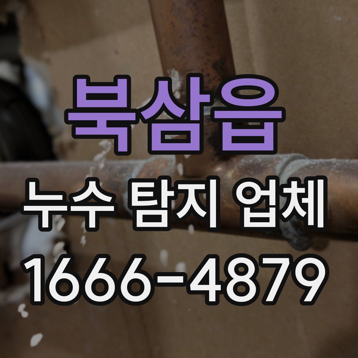 북삼읍 누수 탐지 업체