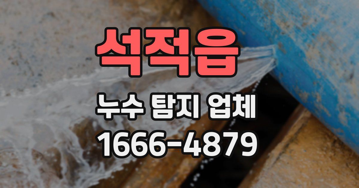 석적읍 누수 탐지 업체