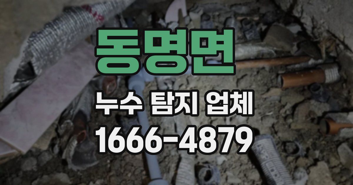 동명면 누수 탐지 업체