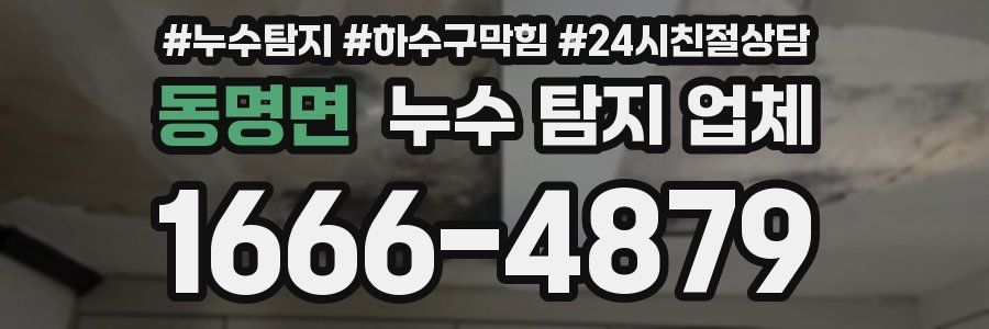 동명면 누수 탐지 업체