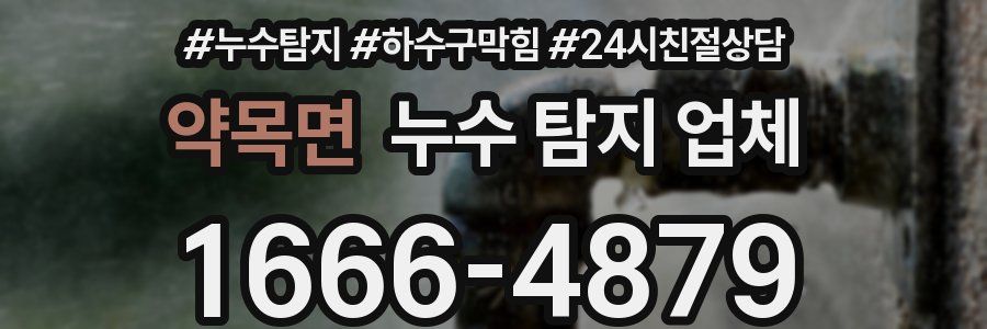 약목면 누수 탐지 업체