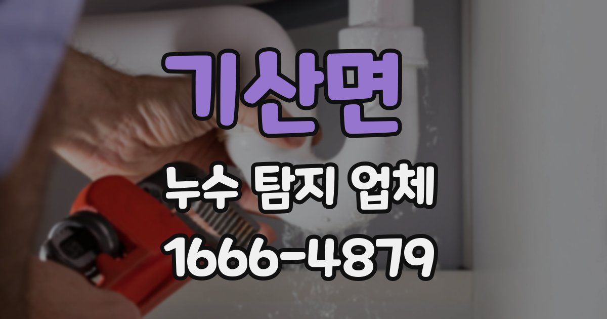 기산면 누수 탐지 업체