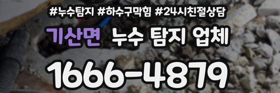 기산면 누수 탐지 업체